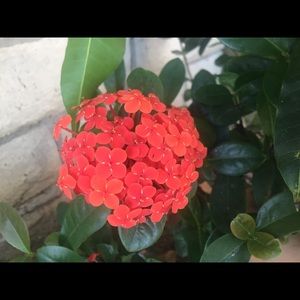 Meet your Posher, Trang